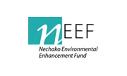 2025 NEEF Annual Report