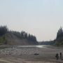 Field Bios and Techs completing stranding assessment.jpg